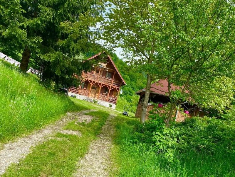 Valea Boga Cazare | Cabană (K1455-38) Imaginea poate fi supusă drepturilor de autor. Se recomandă contactarea titularului drepturilor. Valea Boga Cazare | Cabană (K1455-38) Imaginea poate fi supusă drepturilor de autor. Se recomandă contactarea titularului drepturilor.