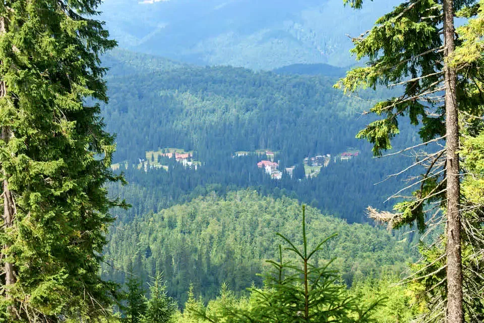 Cazare Stâna de Vale - Vila Liliacul**** | Biharfüred - Liliacul Villa****. Imaginea poate fi supusă drepturilor de autor. Se recomandă contactarea titularului drepturilor.