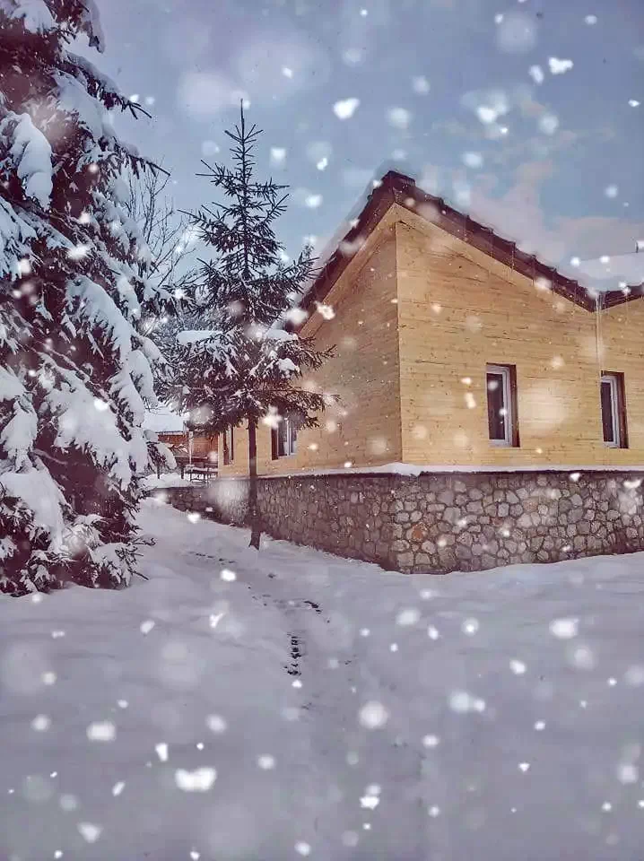 Cazare Stâna de Vale - Vila Izvorul Minunilor*** | Biharfüred - Izvorul Minunilor Villa***. Imaginea poate fi supusă drepturilor de autor. Se recomandă contactarea titularului drepturilor.
