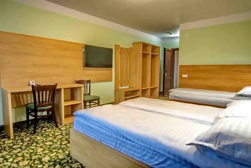 Apoldu de Jos Cazare | Hotel*** (K0872-9) Imaginea poate fi supusă drepturilor de autor. Se recomandă contactarea titularului drepturilor.