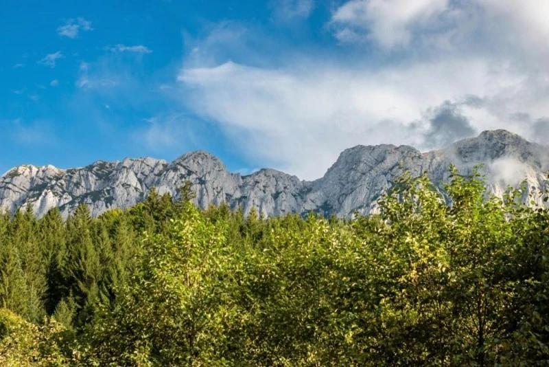 Zărnești Cazare | Hotel*** (K1550-31) Imaginea poate fi supusă drepturilor de autor. Se recomandă contactarea titularului drepturilor. Zărnești Cazare | Hotel*** (K1550-31) Imaginea poate fi supusă drepturilor de autor. Se recomandă contactarea titularului drepturilor.