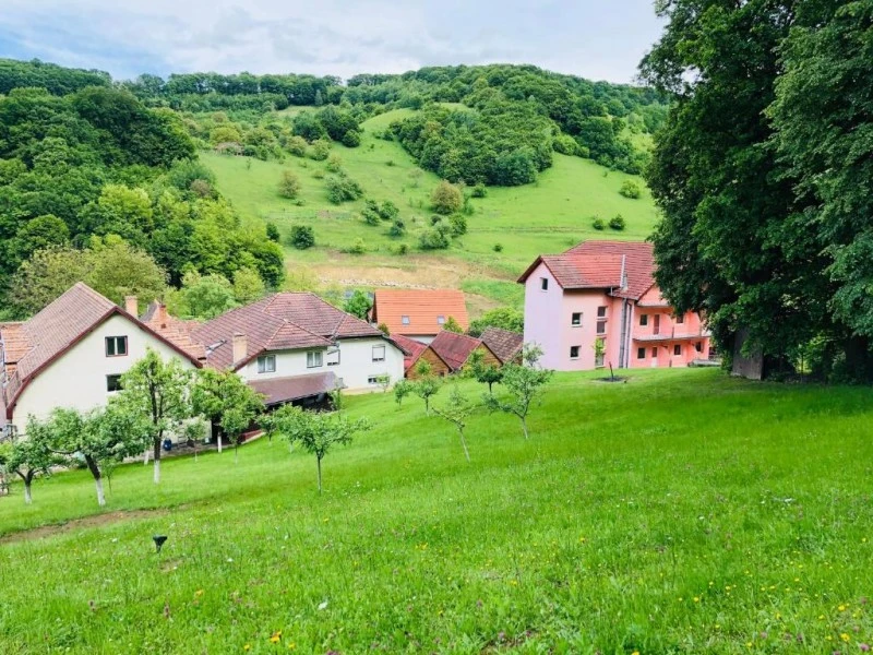 Sighișoara Cazare | Hotel*** (K1588-35) Imaginea poate fi supusă drepturilor de autor. Se recomandă contactarea titularului drepturilor. Sighișoara Cazare | Hotel*** (K1588-35) Imaginea poate fi supusă drepturilor de autor. Se recomandă contactarea titularului drepturilor.