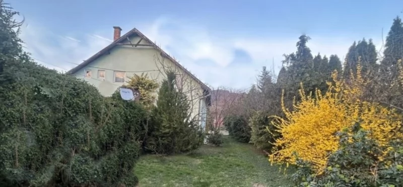 Cristuru Secuiesc Cazare | Cabană (K1507-39) Imaginea poate fi supusă drepturilor de autor. Se recomandă contactarea titularului drepturilor.
