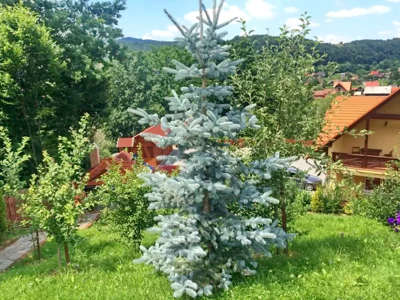 Szováta Szállás | Kulcsosház (K1420-8) A kép szerzői jogvédelem alatt állhat. Javasolt a kapcsolatfelvétel a jog tulajdonossal.