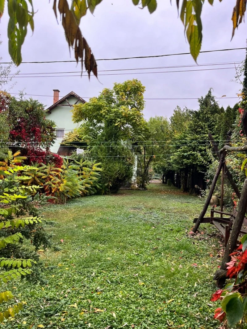 Cristuru Secuiesc Cazare | Cabană (K1507-62) Imaginea poate fi supusă drepturilor de autor. Se recomandă contactarea titularului drepturilor.