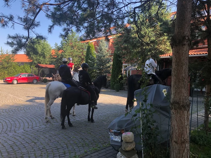 Székelyudvarhely Szállás | Panzió (K0091-51) A kép szerzői jogvédelem alatt állhat. Javasolt a kapcsolatfelvétel a jog tulajdonossal. Székelyudvarhely Szállás | Panzió (K0091-51) A kép szerzői jogvédelem alatt állhat. Javasolt a kapcsolatfelvétel a jog tulajdonossal.