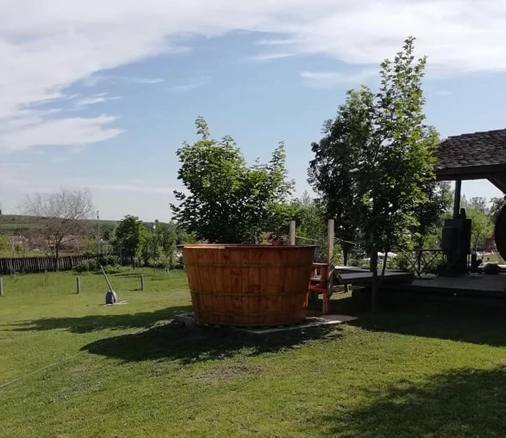 Sibiu Cazare | Pensiune (K1599-32) Imaginea poate fi supusă drepturilor de autor. Se recomandă contactarea titularului drepturilor.