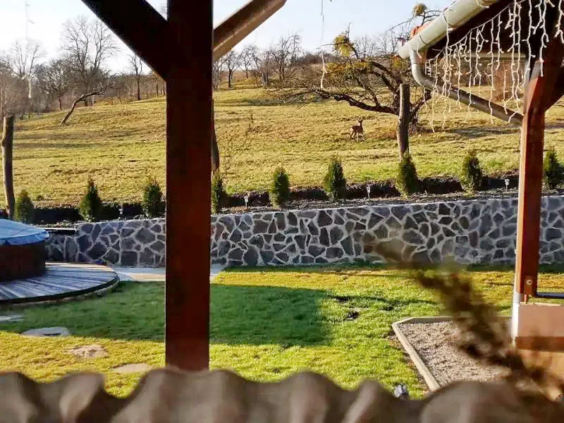 Chedia Mică Cazare | Cabană (K1260-18) Imaginea poate fi supusă drepturilor de autor. Se recomandă contactarea titularului drepturilor. Chedia Mică Cazare | Cabană (K1260-18) Imaginea poate fi supusă drepturilor de autor. Se recomandă contactarea titularului drepturilor.