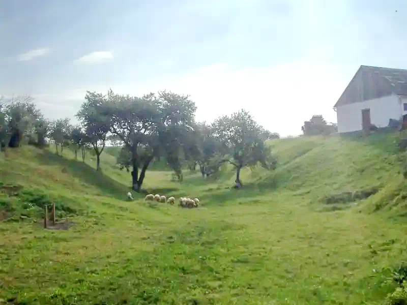 Târgu Secuiesc Cazare | Casă de oaspeți (K0642-16) Imaginea poate fi supusă drepturilor de autor. Se recomandă contactarea titularului drepturilor.