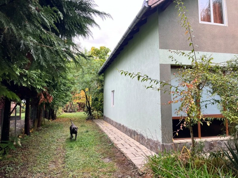 Cristuru Secuiesc Cazare | Cabană (K1507-52) Imaginea poate fi supusă drepturilor de autor. Se recomandă contactarea titularului drepturilor. Cristuru Secuiesc Cazare | Cabană (K1507-52) Imaginea poate fi supusă drepturilor de autor. Se recomandă contactarea titularului drepturilor.