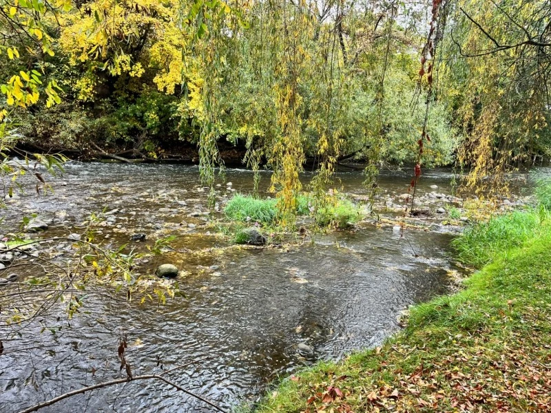 Székelykeresztúr Szállás | Kulcsosház (K1507-57) A kép szerzői jogvédelem alatt állhat. Javasolt a kapcsolatfelvétel a jog tulajdonossal. Székelykeresztúr Szállás | Kulcsosház (K1507-57) A kép szerzői jogvédelem alatt állhat. Javasolt a kapcsolatfelvétel a jog tulajdonossal.