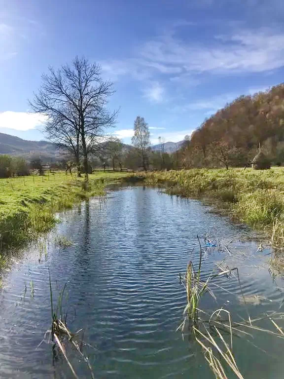 Nagysebes Szállás | Panzió (K0705-33) A kép szerzői jogvédelem alatt állhat. Javasolt a kapcsolatfelvétel a jog tulajdonossal.