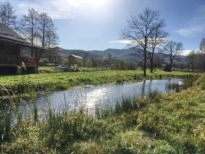 Nagysebes Szállás | Panzió (K0705-35) A kép szerzői jogvédelem alatt állhat. Javasolt a kapcsolatfelvétel a jog tulajdonossal.