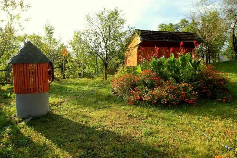 Sovata Cazare | Casă de oaspeți (K1570-53) Imaginea poate fi supusă drepturilor de autor. Se recomandă contactarea titularului drepturilor.
