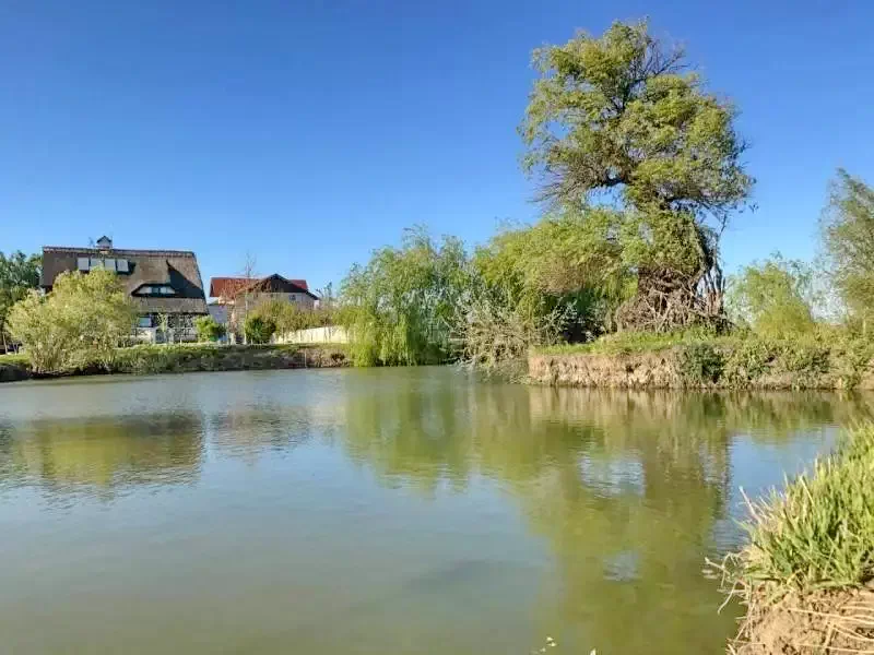  Szállás | Motel (K1300-1) A kép szerzői jogvédelem alatt állhat. Javasolt a kapcsolatfelvétel a jog tulajdonossal.