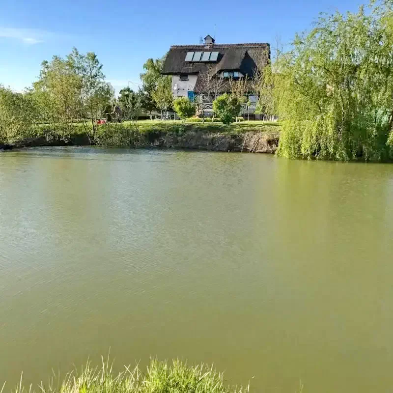 Vulturu Cazare | Motel (K1300-33) Imaginea poate fi supusă drepturilor de autor. Se recomandă contactarea titularului drepturilor.