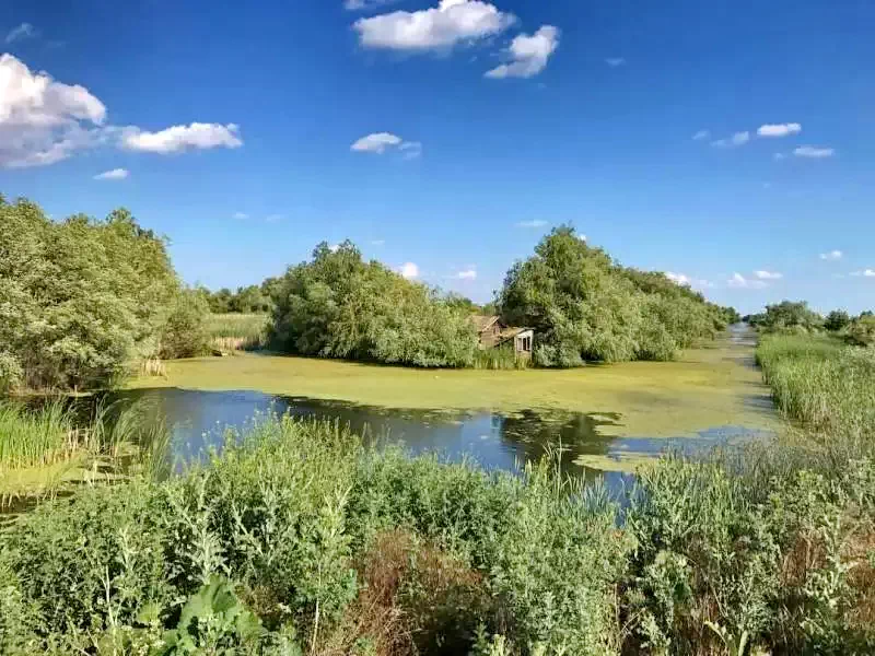 Vulturu Cazare | Motel (K1300-36) Imaginea poate fi supusă drepturilor de autor. Se recomandă contactarea titularului drepturilor.