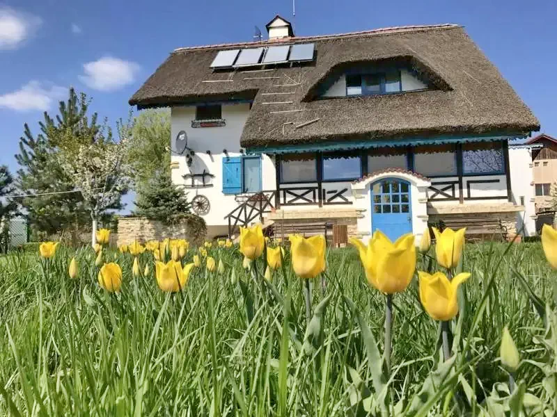 Vulturu Cazare | Motel (K1300-41) Imaginea poate fi supusă drepturilor de autor. Se recomandă contactarea titularului drepturilor.