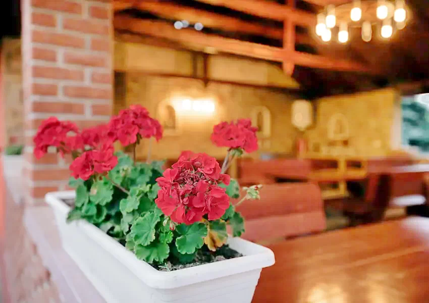 Mezőkövesd Szállás | Motel (K0818-11) A kép szerzői jogvédelem alatt állhat. Javasolt a kapcsolatfelvétel a jog tulajdonossal.